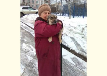 Буся