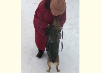 Буся
