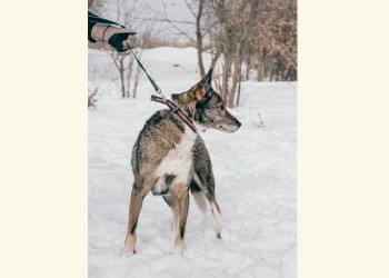 Юкки