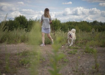 Волга