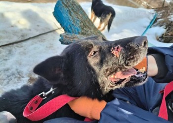 Парамоша Парамоша